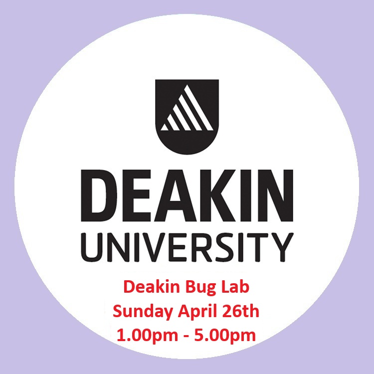 EntSocVic's tweet photo. 🦗Deakin Bug Lab: Sunday Bug School 2026

Bug School is back for Sunday April 26, 1pm–5pm.
Spots are limited to 20 people, so register on our website today to secure yours! 

https://t.co/YjJmFGocbm https://t.co/aDe6TOxpEI