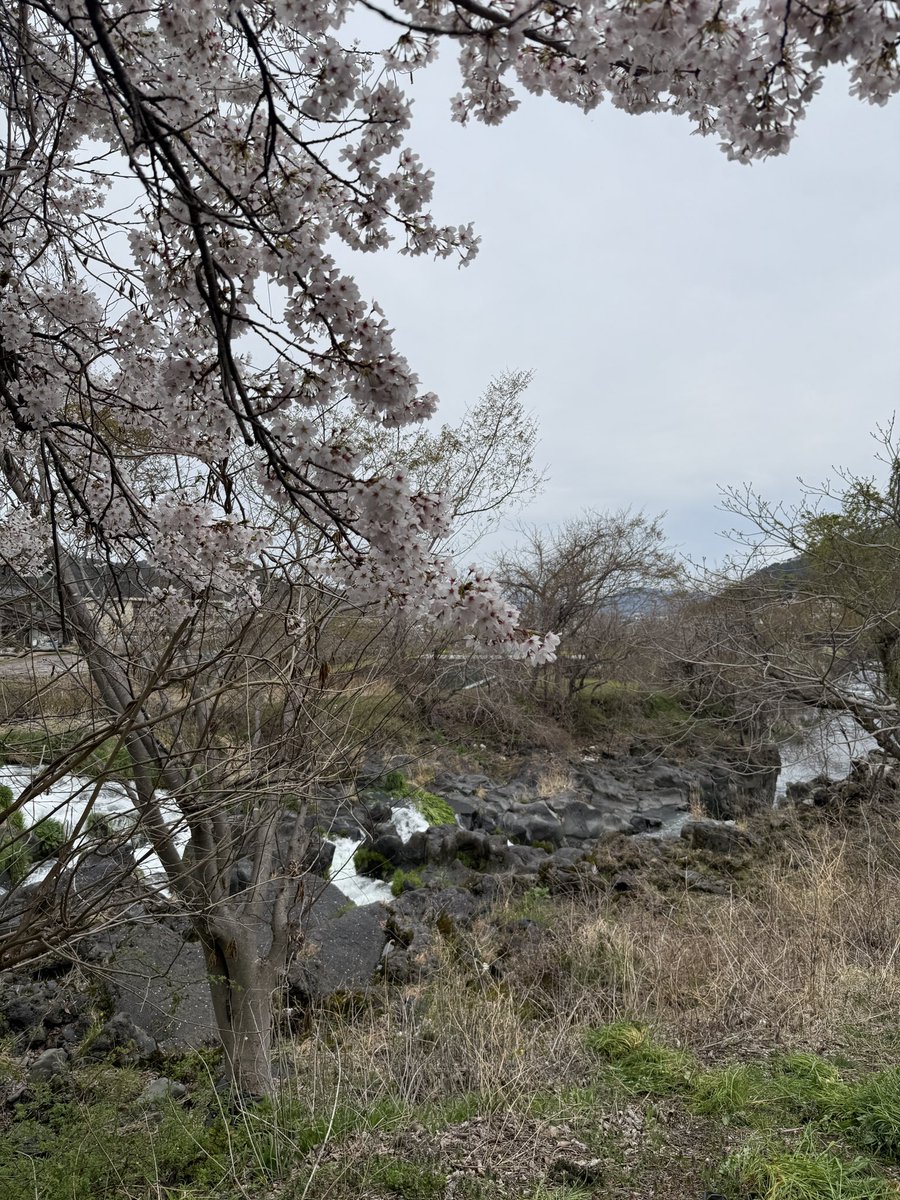 藤原🇯🇵”Bigfoot ∴”忍。 tweet media