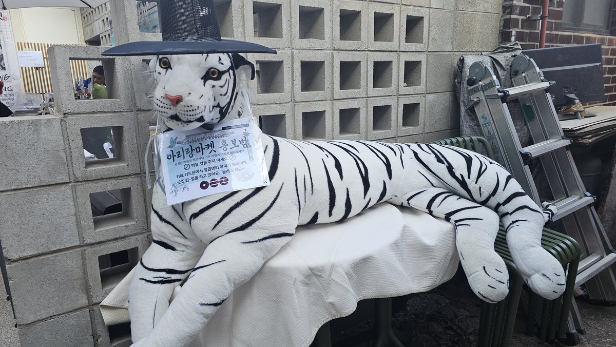 꾹꾹스486⁷⊙⊝⊜ ✨️ﮩ٨ـﮩ달숏ͥ팀ـﮩﮩ٨ـ tweet media