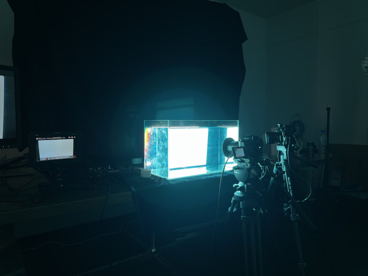 矢嶋 哲生 tweet media