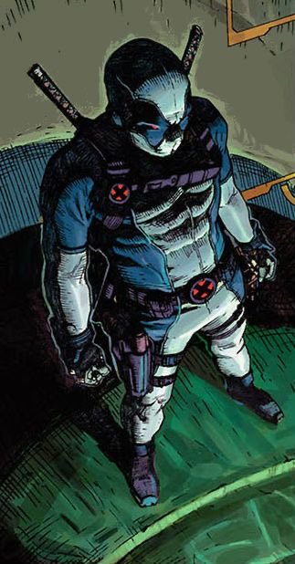 ira 🐸 tweet media