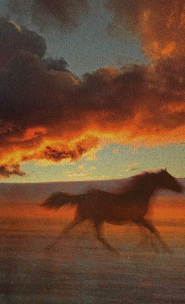 🏛️⚡️ tweet media