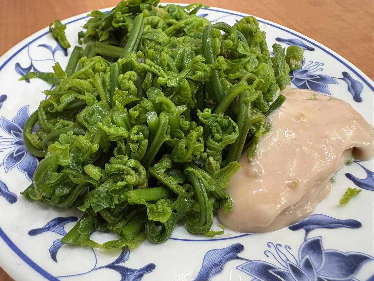 ディープバレー＠新作準備中 tweet media