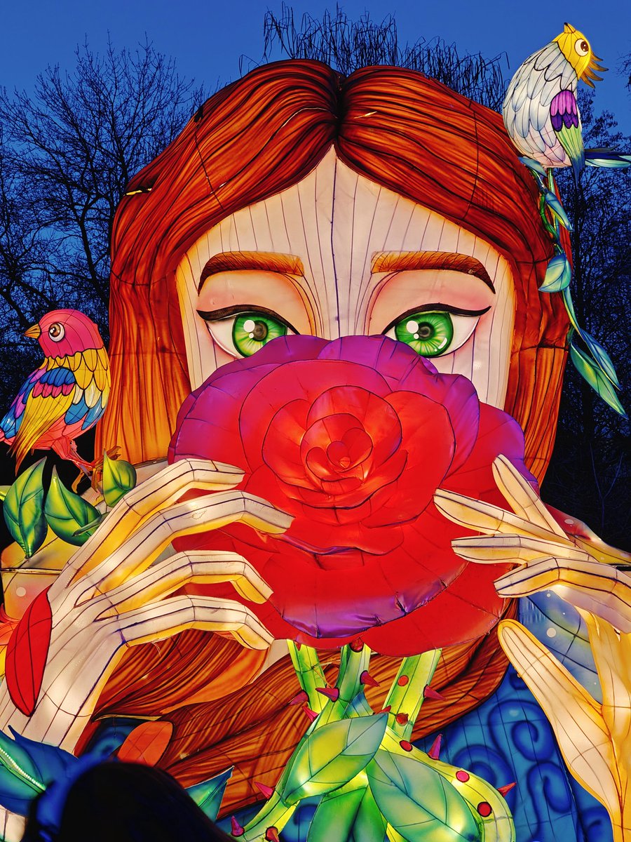 AlexDuicu's tweet image. Day 95/365 
A garden of light
#ShotOnSnapdragon 
#ShotonOnePlus
#RepYourRed
@Snapdragon
@Snapdragon_UK
@Snapdragon_DE
@Snapdragon_FR
@gregcroc
@SnapdragonCarla