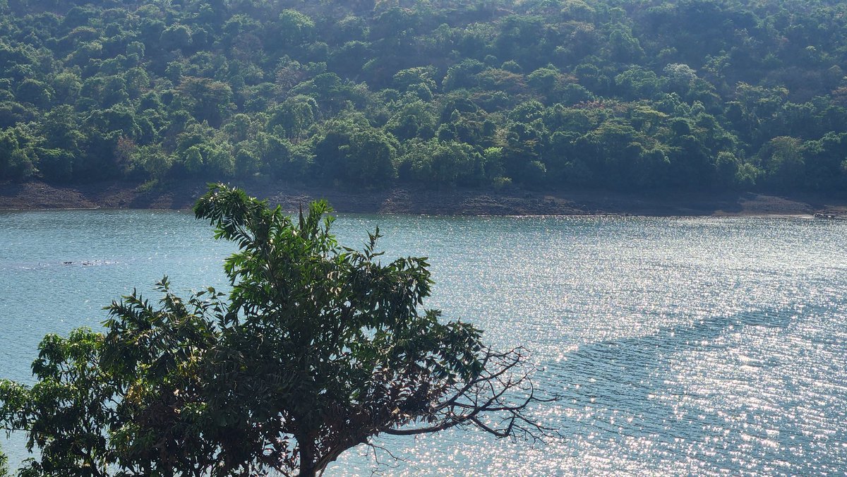 Love was Wandering there ♥️🐾🍃