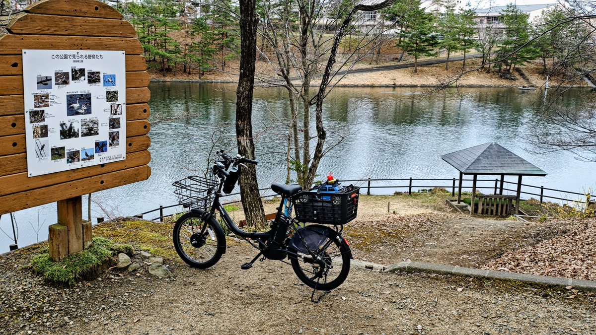 ワンダラー tweet media