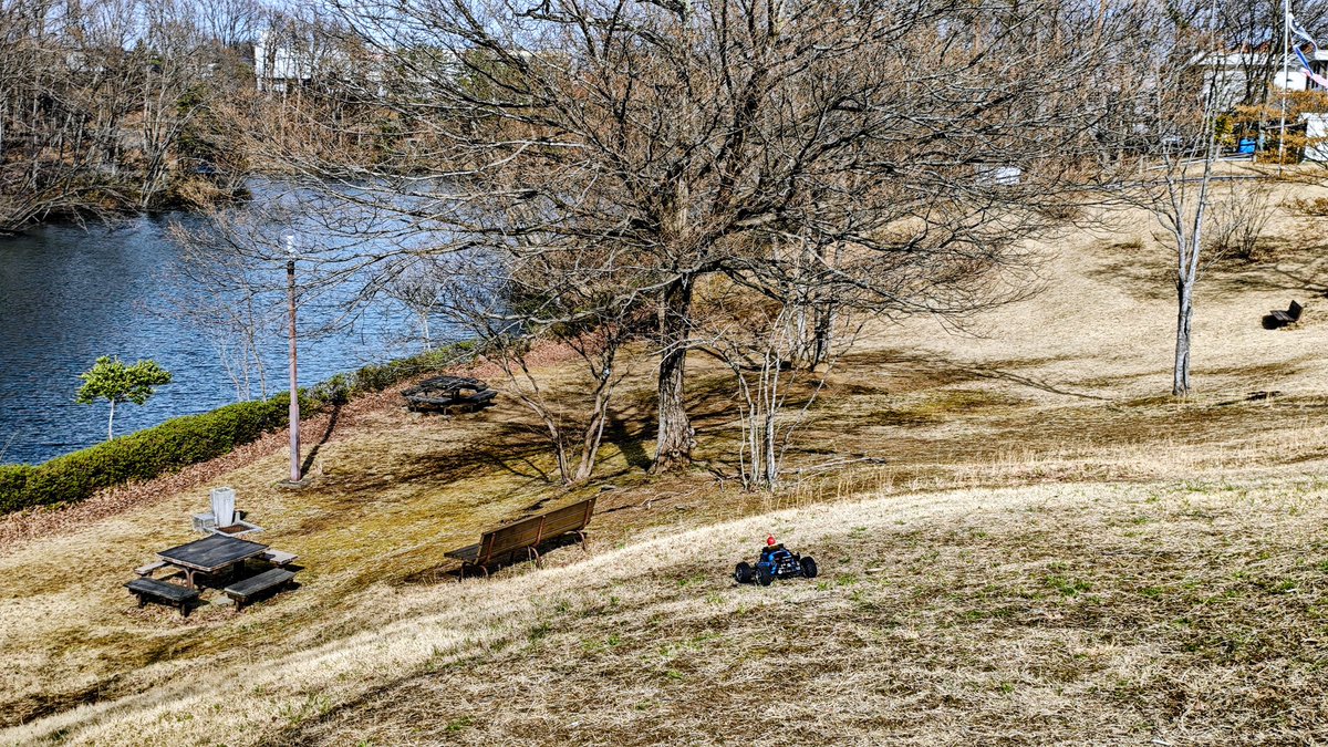 ワンダラー tweet media