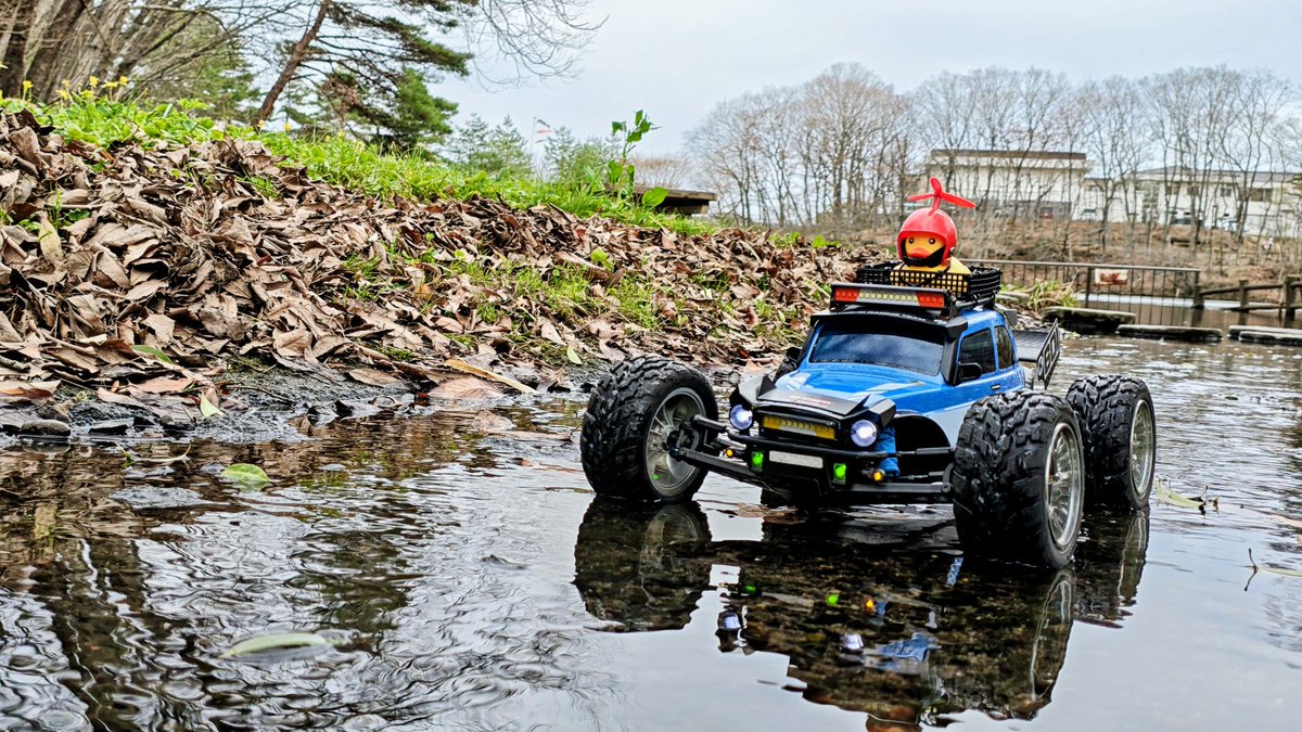 ワンダラー tweet media