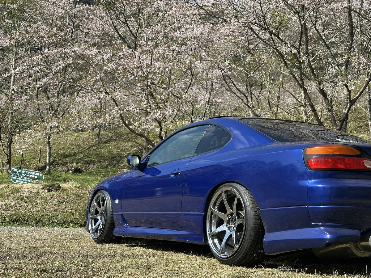 ドリチル tweet media