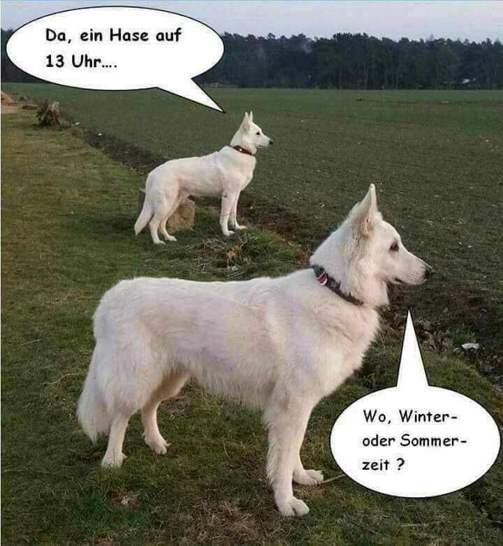  WuesteGobi 🇪🇺📯🌻 tweet media