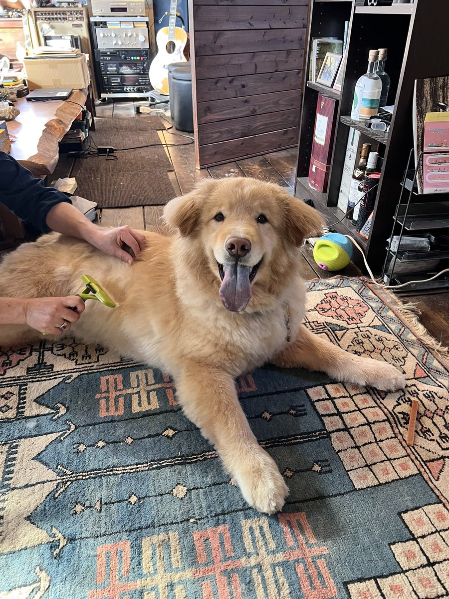 ディッパー tweet media