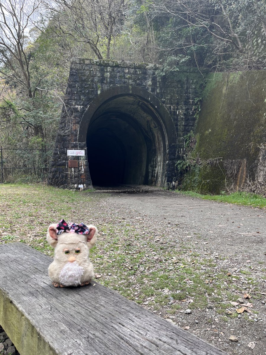 aoi_chat's tweet photo. 廃線のトンネルへお花見🌸
#ファービー https://t.co/JwM45i8A79
