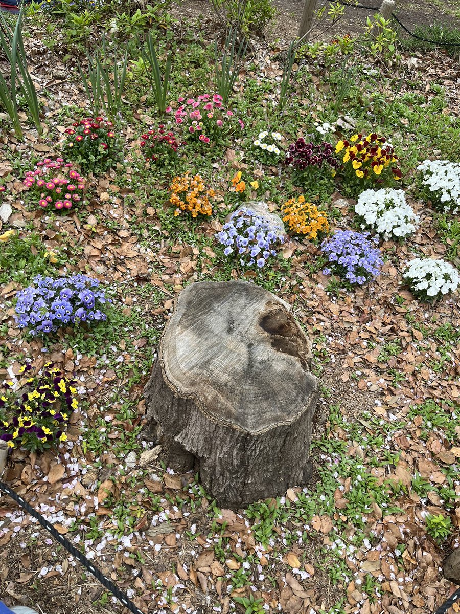 ちぇる tweet media