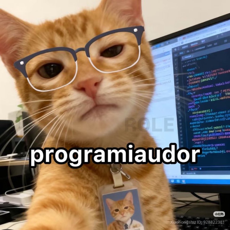 gatos fazendo gatices tweet media