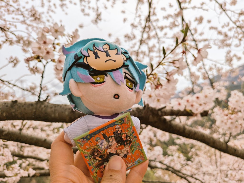 karushione's tweet image. おそくほ】今日は急遽ですが虎山🌸へカメラしに行きました🌸
会えた方、写メしてくれた方ありがとうございます😊
ぱちさんﾌﾘﾚﾝ @paciiiko_777