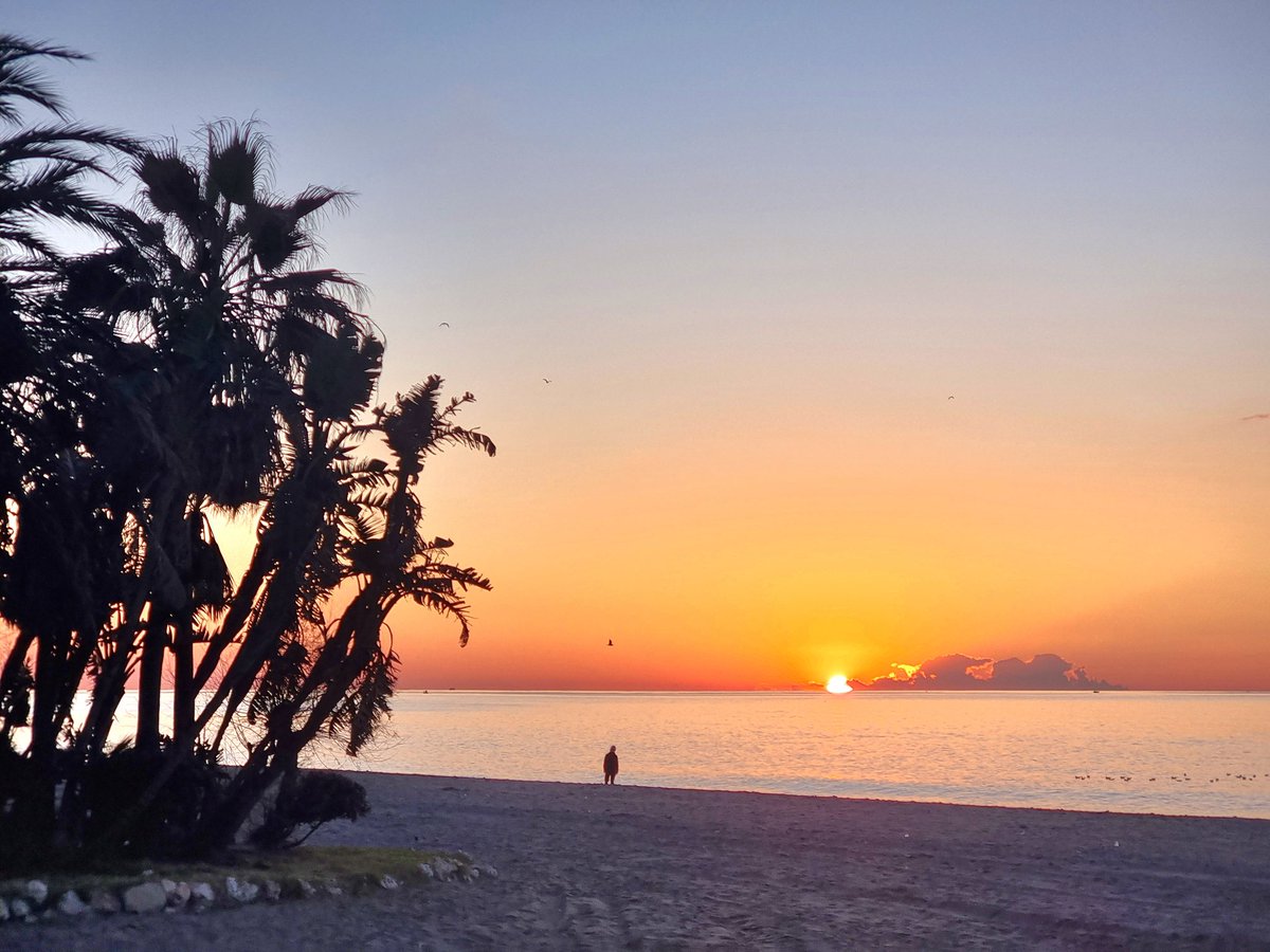 Capitán del Sur tweet media