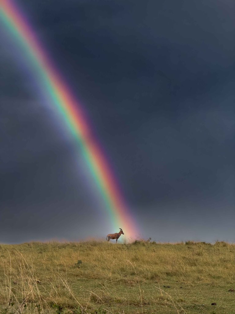 trikansh_sharma's tweet image. When sky makes everything so fascinating. 

Landscape of Kenya is beyond beauty.😻
#shotoniphone