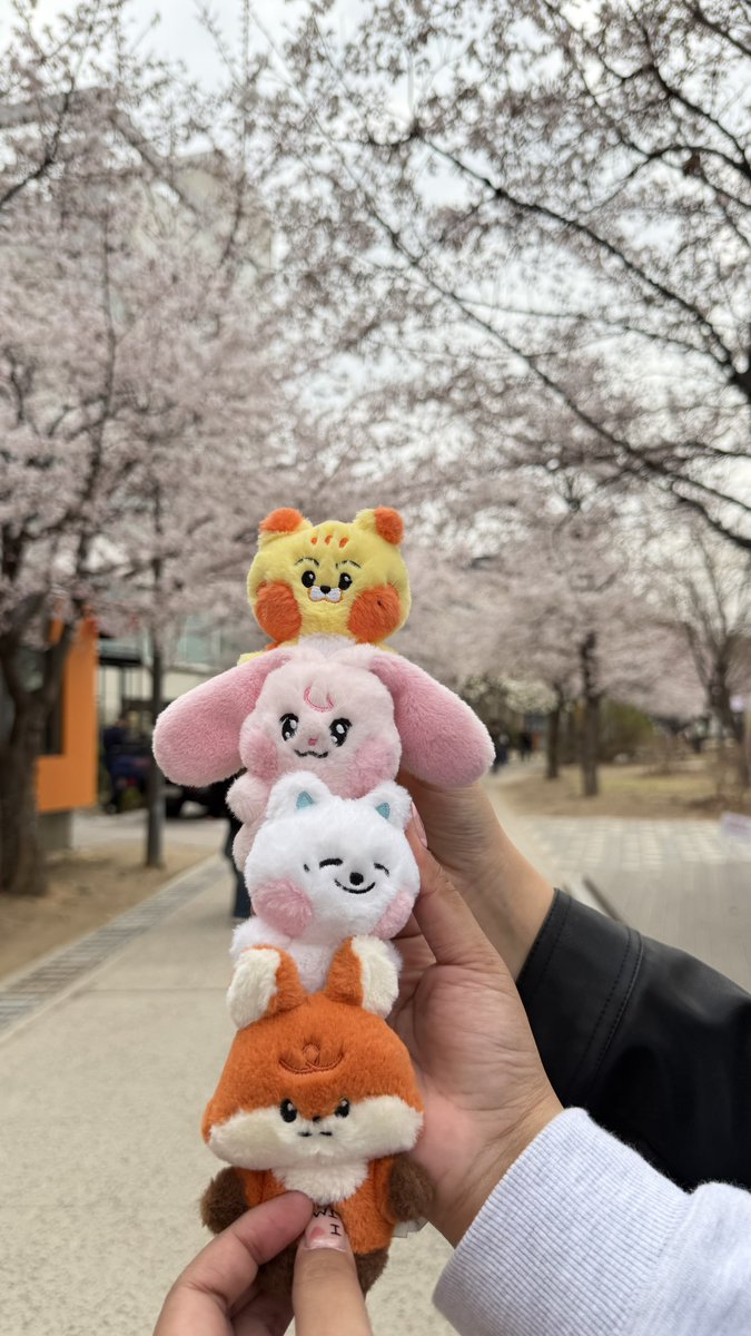 jaejae ݁ ˖༘⋆𐦍⊹₊ ⋆⋆ JNJM tweet media