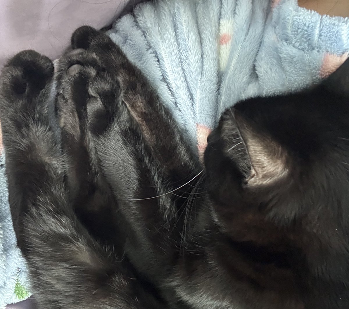 어둠의 ,, 딥 ㅅㅏ .. tweet media