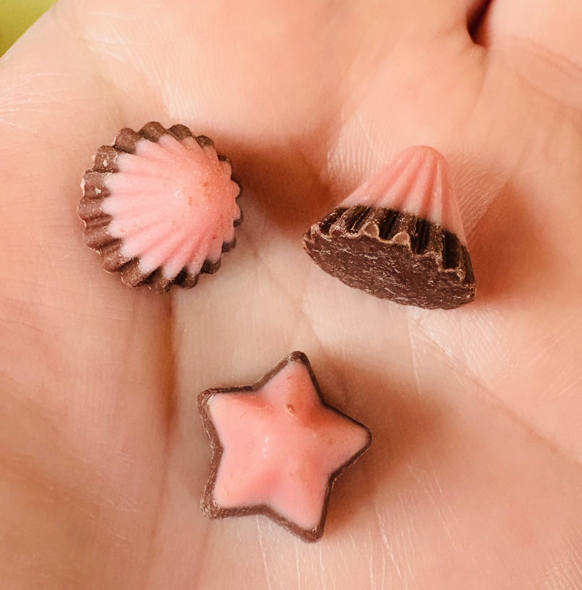 ★のアポロだ！