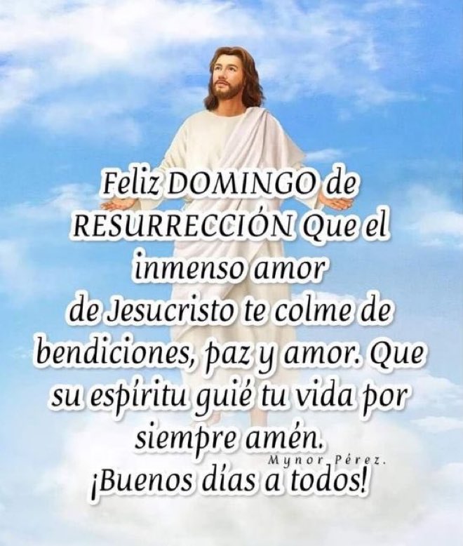 Eloisa Cid tweet media