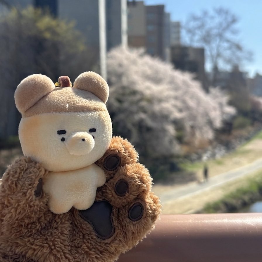 명배2 A19 💼 단🍊 tweet media