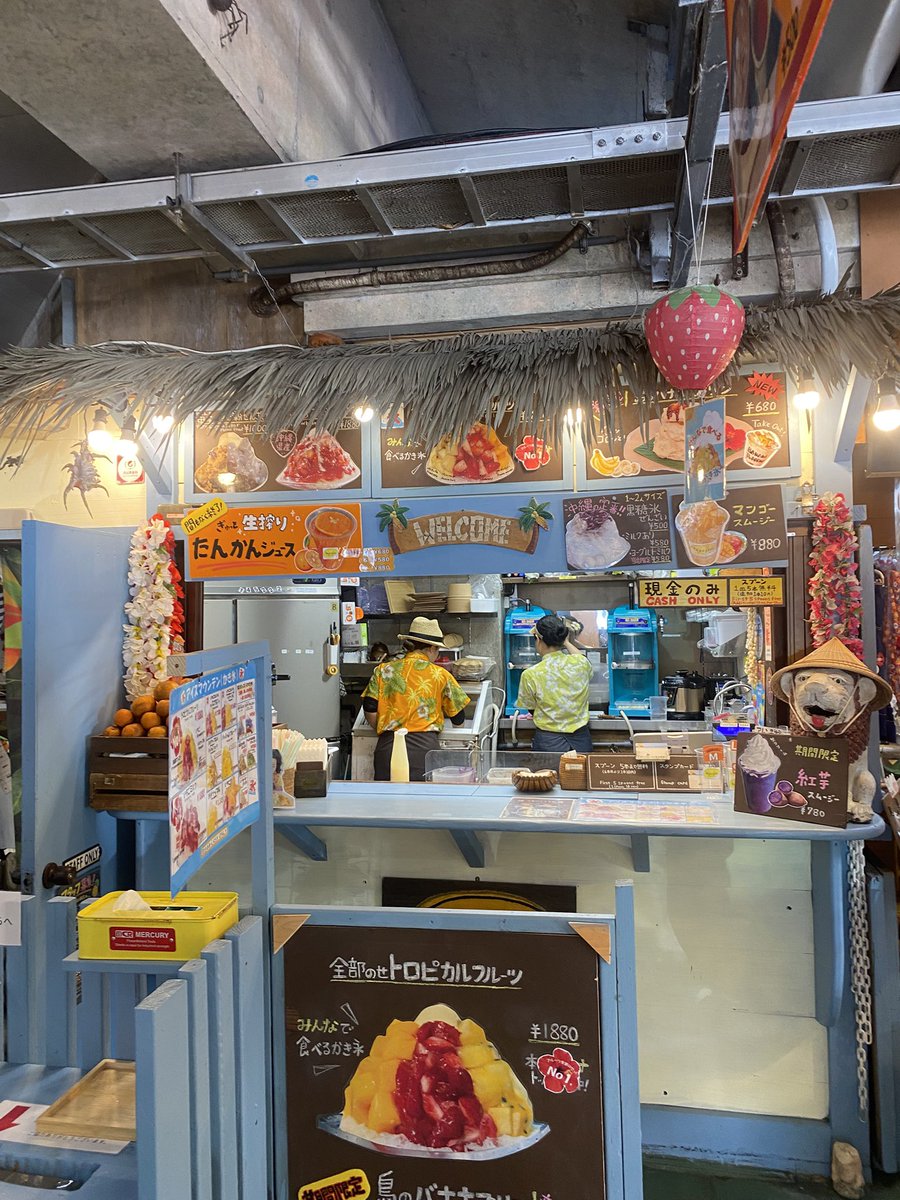 TEKKON @底辺WEB作家 tweet media