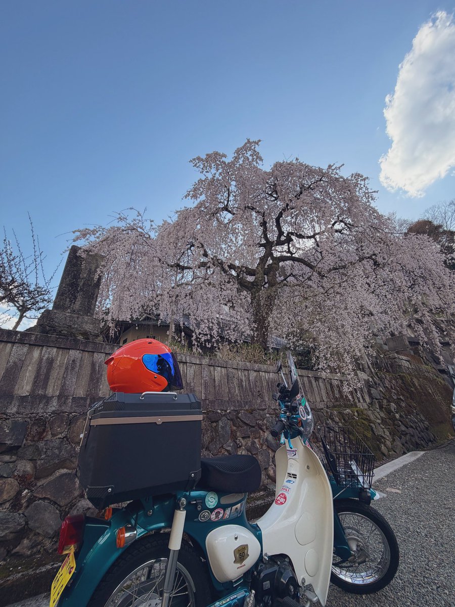 松上 隆道 tweet media