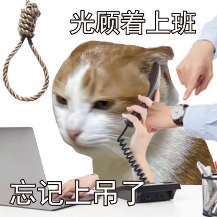 Xxrof☆ tweet media