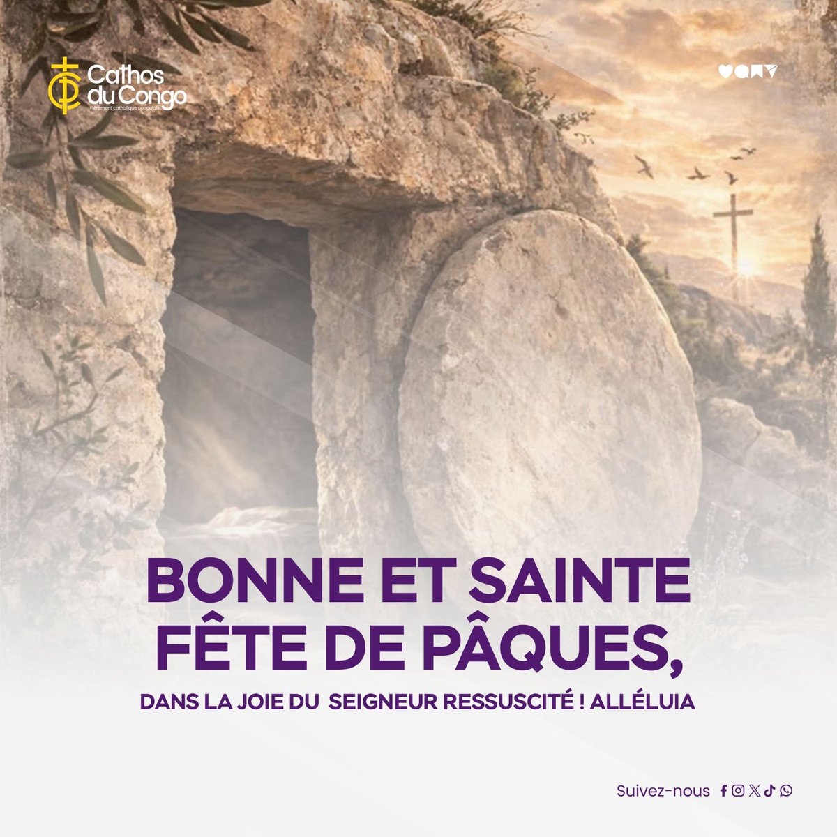 Cathos du Congo tweet media