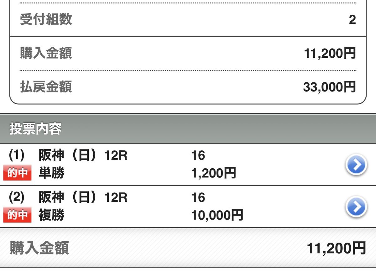 波乱に満ちた芦毛 tweet media