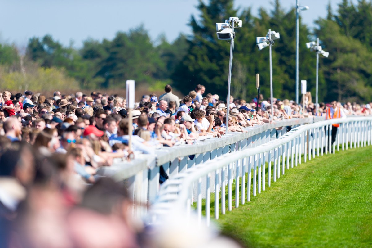 BathRacecourse's tweet photo. Going update for today's fixture:
GOOD (good to firm in places)
8 races from 2pm, last race 5.55pm - the feature race is £70,000 @WhitsburyManor @BritishEBF Lansdown Stakes for fillies and mares, 14 runners go to post - https://t.co/IXJs5Y3x7j https://t.co/kVxh2HKUXu