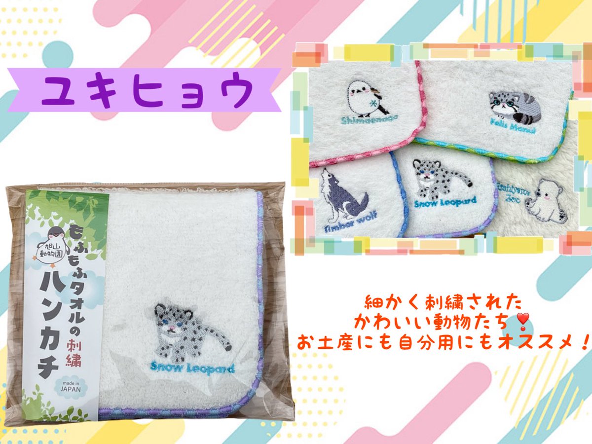 旭山動物園くらぶ on X: 