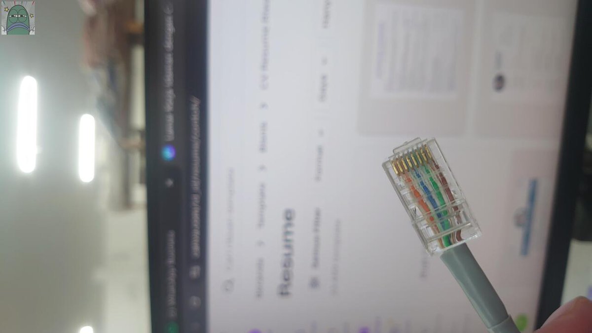 Tanyarlfes tweet media