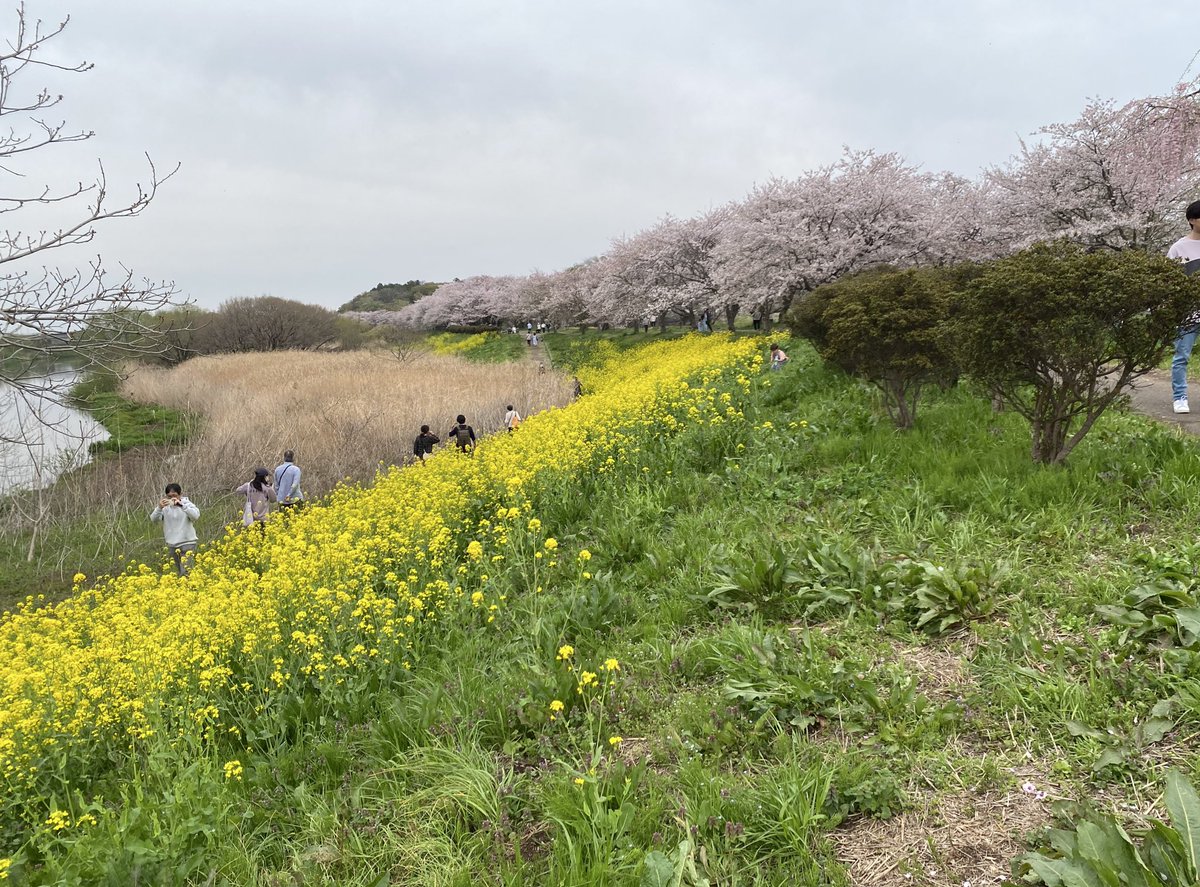 ココ・るえか tweet media