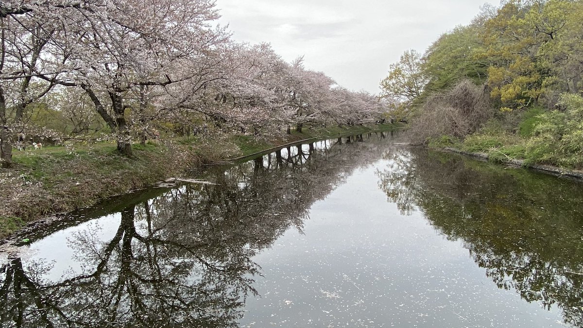 ココ・るえか tweet media