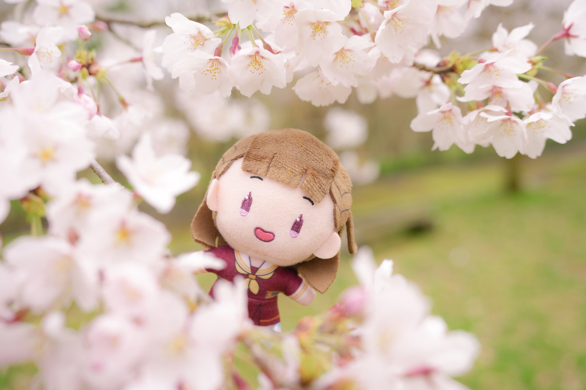 さはら tweet media