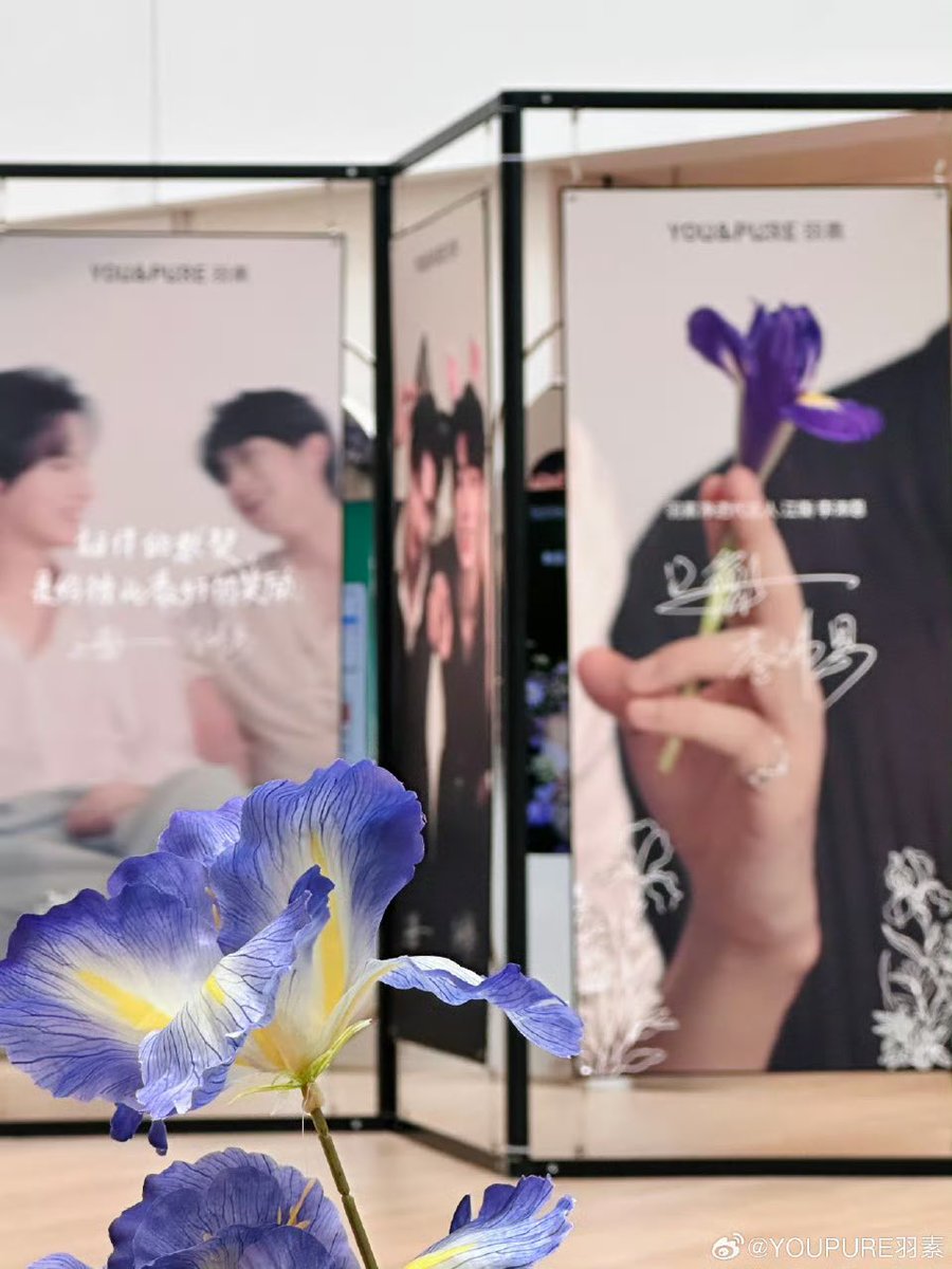 OCEAN JIANG TH tweet media