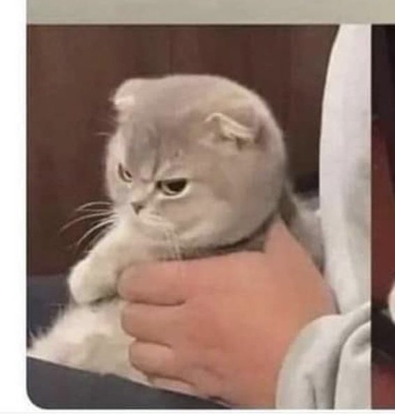 óSeŇmí☽̶☾ Dear My Girl🐣🧡Aurin tweet media