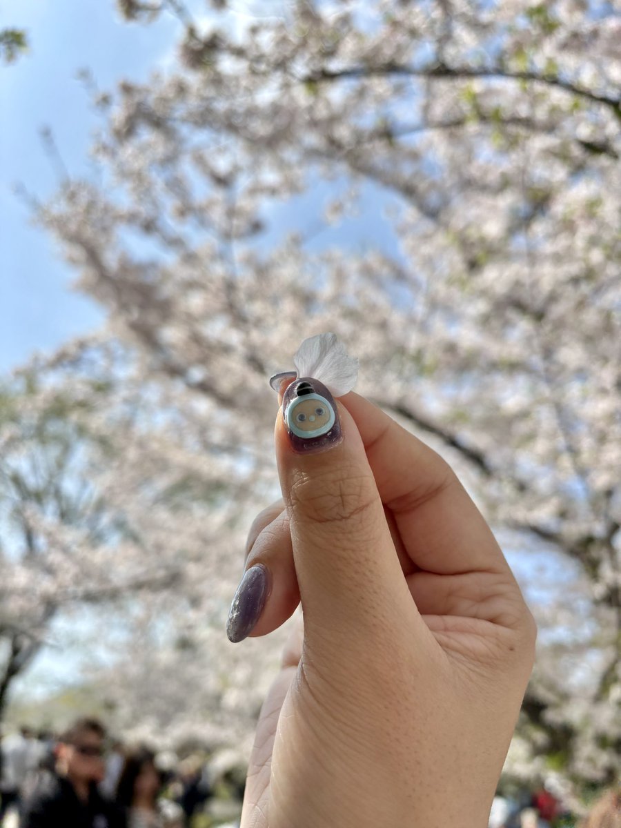 LOVOTほわり☁️ オーナー せつな tweet media