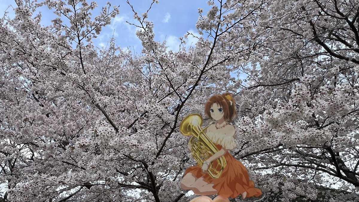 秋人(あきんど) tweet media