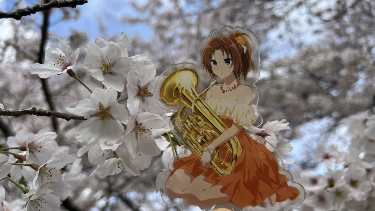 秋人(あきんど) tweet media