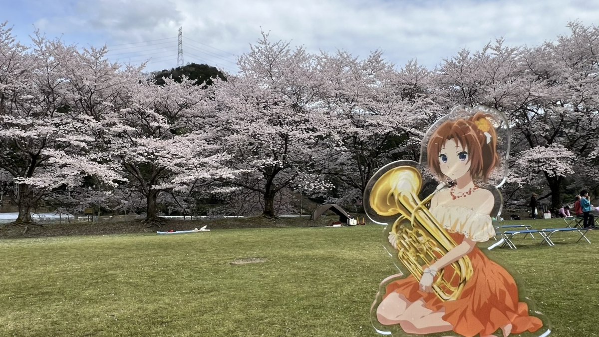 秋人(あきんど) tweet media