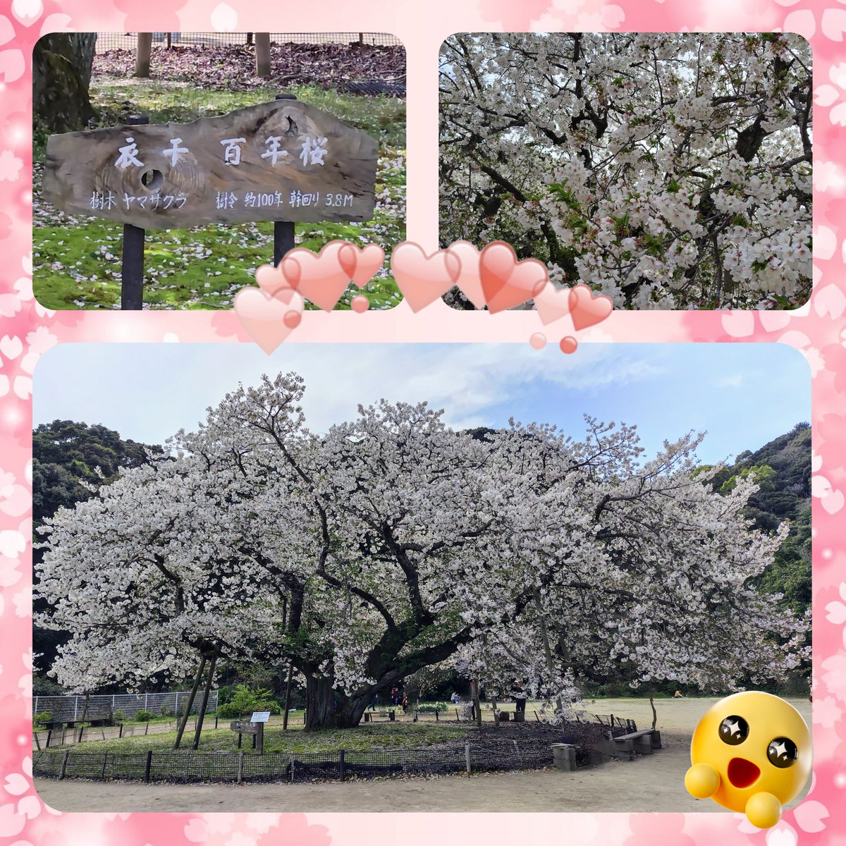 聖 (sei) tweet media