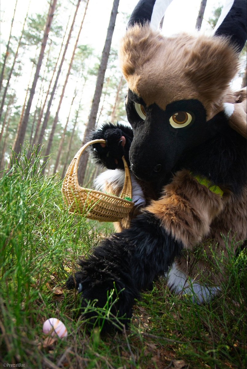 Videri Water-Icedragon tweet media