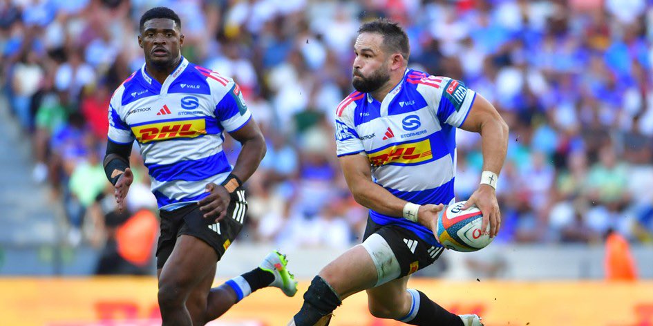 Springboks tweet media