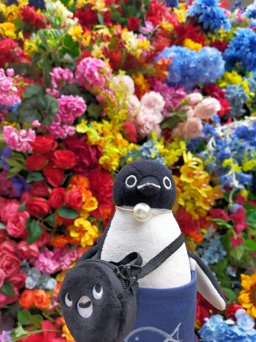 日比谷公園とミッドタウン日比谷で春を見つけたよ！
#Suicaのペンギン