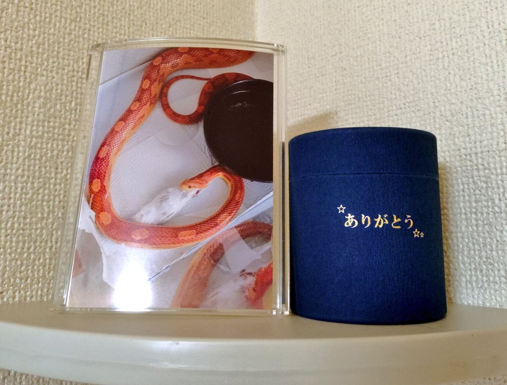 Oeneyo_'s tweet photo. 今日は命日。
みんなで写真を囲んで過ごそうかな✨
でも構われるの嫌いだったからほっといてって思うかな😂 https://t.co/ZN3tMIwaOf