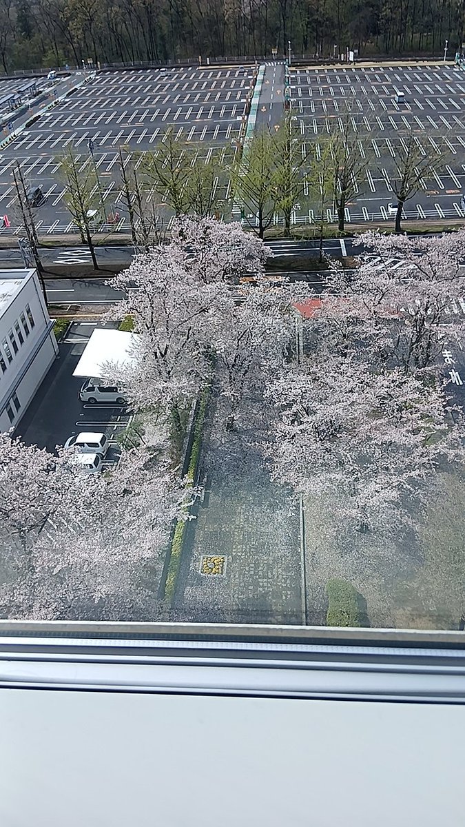 よくばりジョニー tweet media