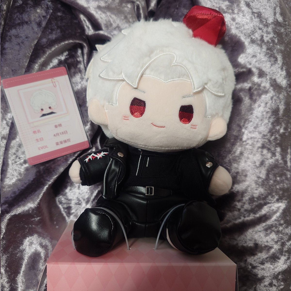 かわいーこきちゃー😻🤩❣️
